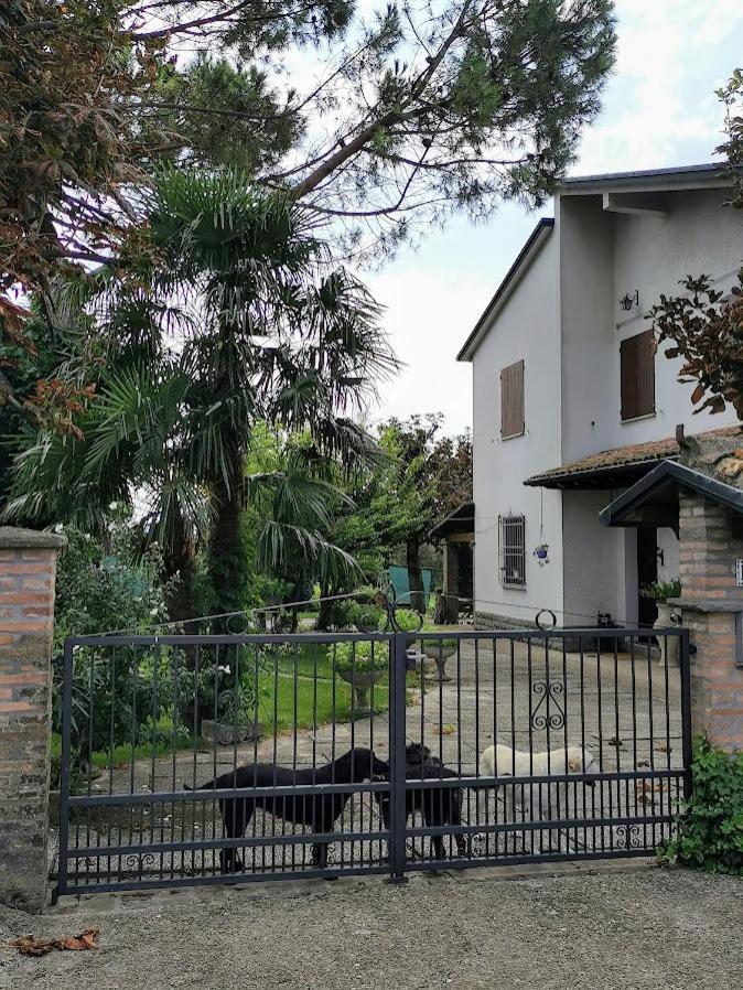 La Casa Di Gim Apartment Луго Екстериор снимка
