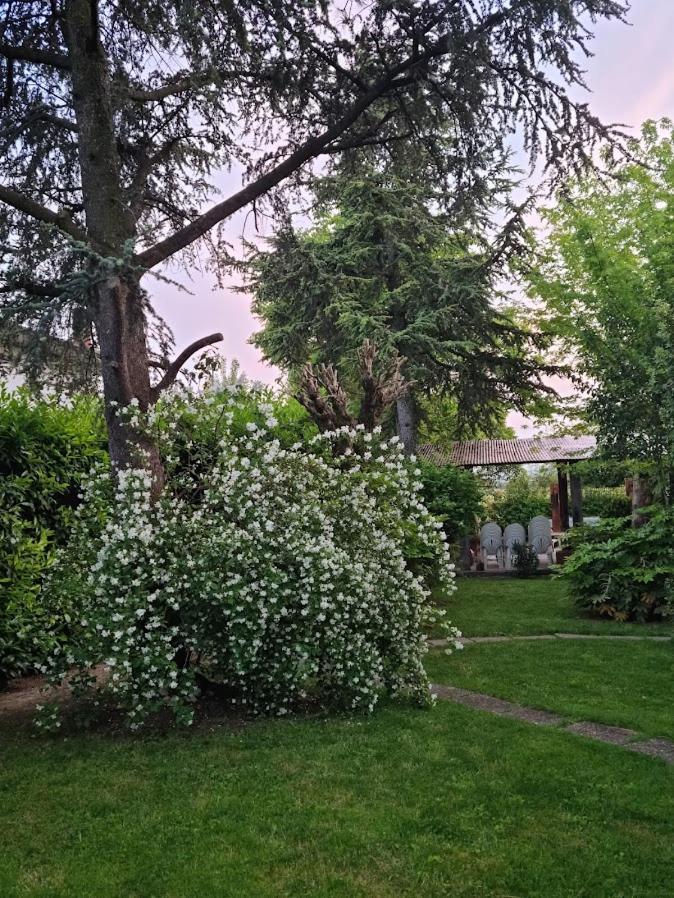 La Casa Di Gim Apartment Луго Екстериор снимка